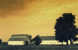 Truman Stud Farm, early 1900, Bushnell, Illinois.  Image courtesy of the WIU Archives and Special Collections